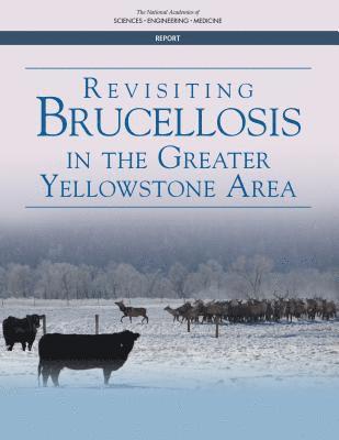 bokomslag Revisiting Brucellosis in the Greater Yellowstone Area