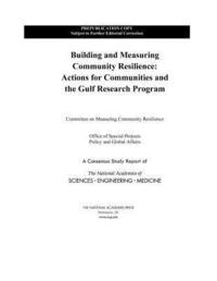 bokomslag Building and Measuring Community Resilience