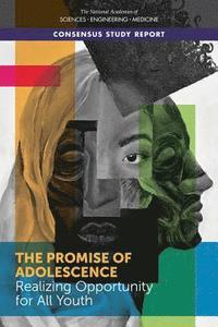 bokomslag Promise of Adolescence