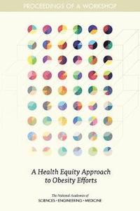 bokomslag Health Equity Approach to Obesity Efforts