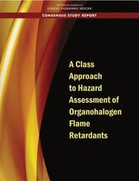 bokomslag Class Approach to Hazard Assessment of Organohalogen Flame Retardants