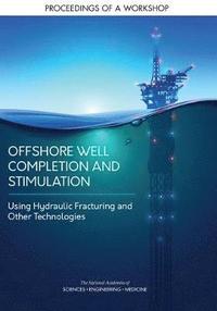 bokomslag Offshore Well Completion and Stimulation