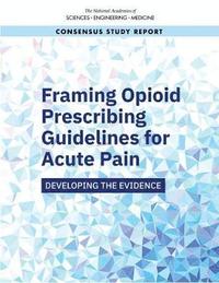 bokomslag Framing Opioid Prescribing Guidelines for Acute Pain