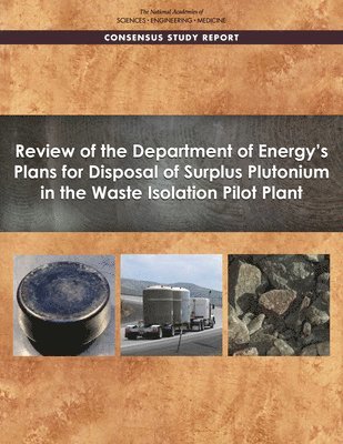 Review of the Department of Energy's Plans for Disposal of Surplus Plutonium in the Waste Isolation Pilot Plant 1