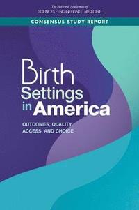 bokomslag Birth Settings in America