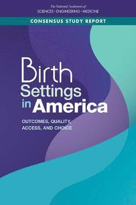 and Medicine National Academies of Sciences, Engineering, Health and Medicine Division, Division of Behavioral and Social Sciences and Education, and Families Board on Children, Youth, Committee on Assessing Health Outcomes by Birth Settings, National Academies of Sciences Engineeri, National Academies of Sciences Engineering and Medicine, Health And Medicine Division, Board On Children Youth And Families, Emily P. Backes, Susan C. Scrimshaw, Emily P Backes, Susan C Scrimshaw - Birth Settings in America, Häftad