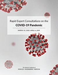 bokomslag Rapid Expert Consultations on the COVID-19 Pandemic