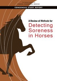 bokomslag Review of Methods for Detecting Soreness in Horses