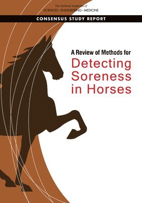 bokomslag A Review of Methods for Detecting Soreness in Horses