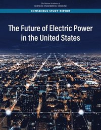 bokomslag The Future of Electric Power in the United States