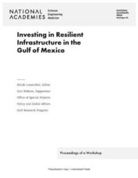 bokomslag Investing in Resilient Infrastructure in the Gulf of Mexico
