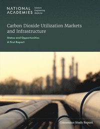 bokomslag Carbon Dioxide Utilization Markets and Infrastructure