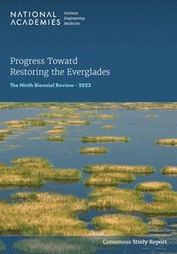 bokomslag Progress Toward Restoring the Everglades