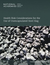 bokomslag Health Risk Considerations for the Use of Unencapsulated Steel Slag