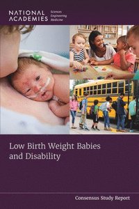 bokomslag Low Birth Weight Babies and Disability