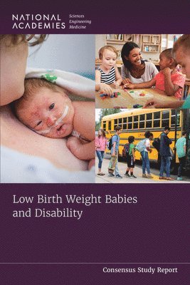 bokomslag Low Birth Weight Babies and Disability