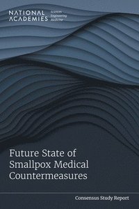 bokomslag Future State of Smallpox Medical Countermeasures