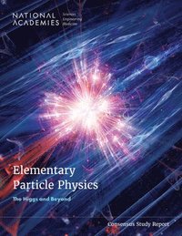 bokomslag Elementary Particle Physics: The Higgs and Beyond