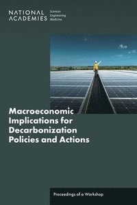 bokomslag Macroeconomic Implications for Decarbonization Policies and Actions