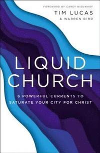 bokomslag Liquid Church