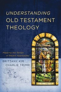 bokomslag Understanding Old Testament Theology
