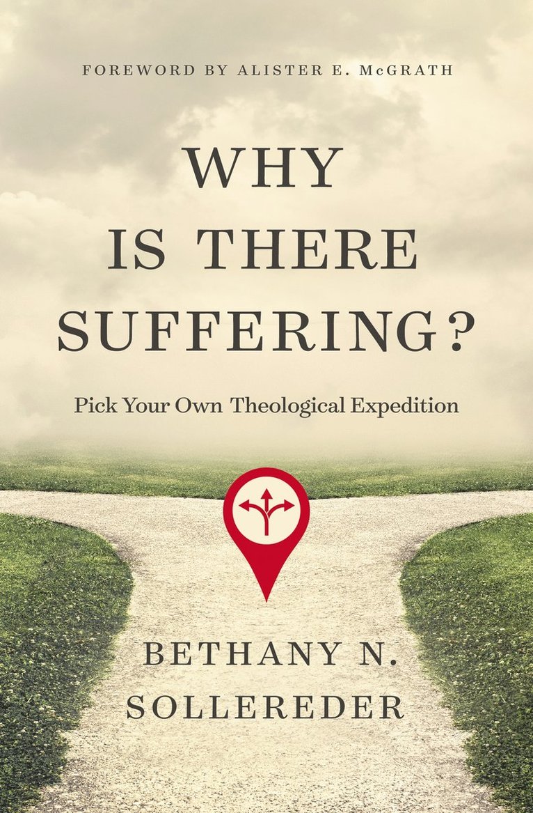 Bethany N. Sollereder - Why Is There Suffering?, Häftad