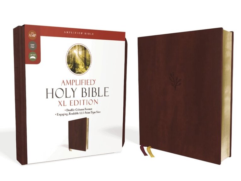 Zondervan - Amplified Holy Bible, XL Edition, Leathersoft, Burgundy, Inbunden