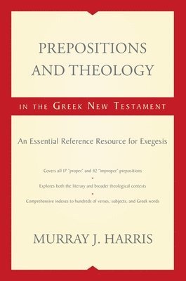 bokomslag Prepositions and Theology in the Greek New Testament
