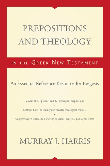 bokomslag Prepositions and Theology in the Greek New Testament