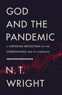 bokomslag God And The Pandemic