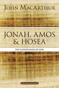 bokomslag Jonah, Amos, and Hosea