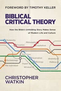 bokomslag Biblical Critical Theory