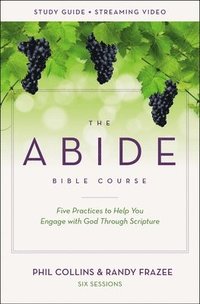bokomslag The Abide Bible Course Study Guide plus Streaming Video