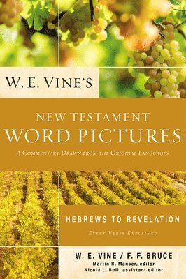 bokomslag W. E. Vine's New Testament Word Pictures: Hebrews to Revelation