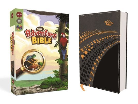 NKJV, Adventure Bible, Leathersoft, Gray, Full Color 1