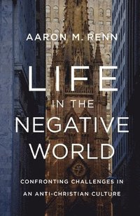 bokomslag Life in the Negative World