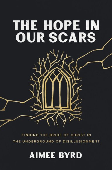 bokomslag Hope in Our Scars