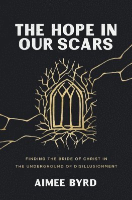 Hope In Our Scars 1