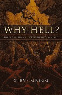 bokomslag Why Hell?