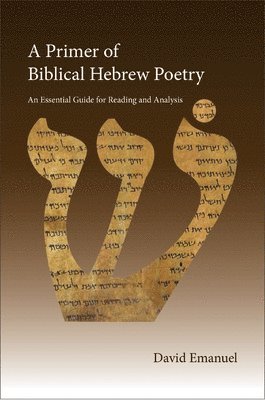 bokomslag Primer of Biblical Hebrew Poetry