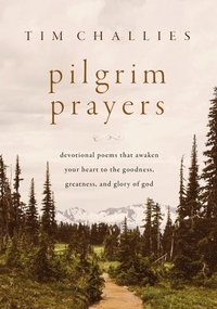bokomslag Pilgrim Prayers