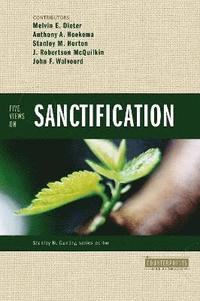 bokomslag Five Views on Sanctification