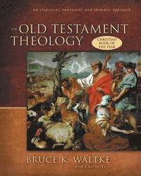 bokomslag An Old Testament Theology