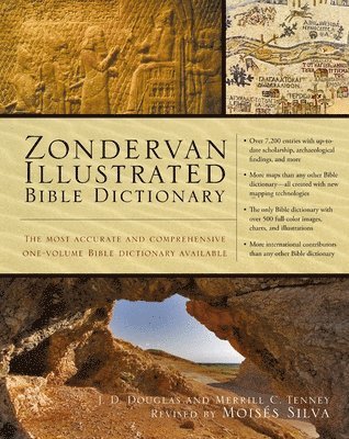 bokomslag Zondervan Illustrated Bible Dictionary