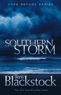 bokomslag Southern Storm