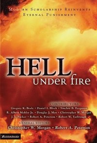 bokomslag Hell Under Fire
