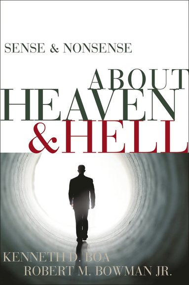 bokomslag Sense and Nonsense about Heaven and Hell