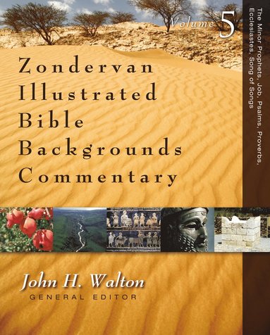 bokomslag Minor Prophets, Job, Psalms, Proverbs, Ecclesiastes, Song of Songs