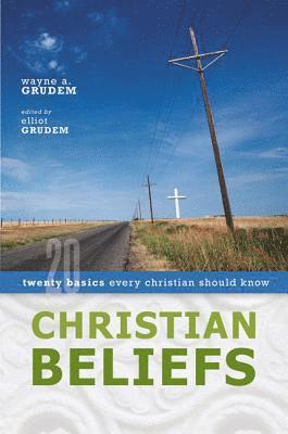 bokomslag Christian Beliefs: Twenty Basics Every Christian Should Know