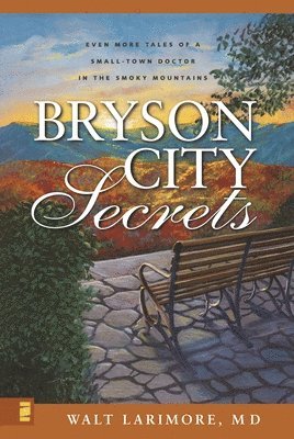 bokomslag Bryson City Secrets